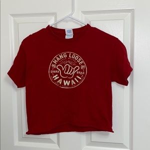 Vintage Hawaii Crop Top